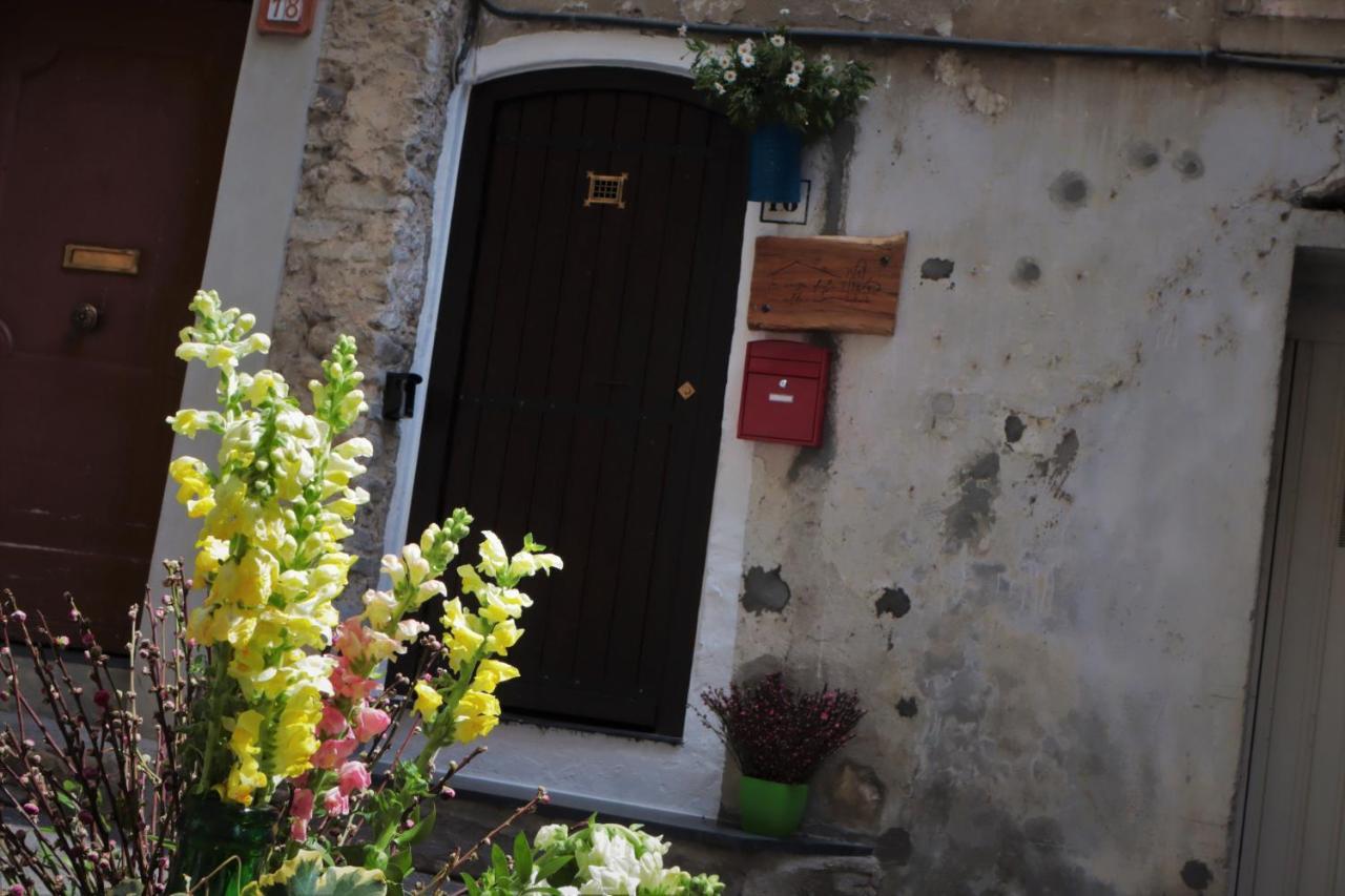 הוילה דולצ'אקווה La Casa Degli Alberi מראה חיצוני תמונה